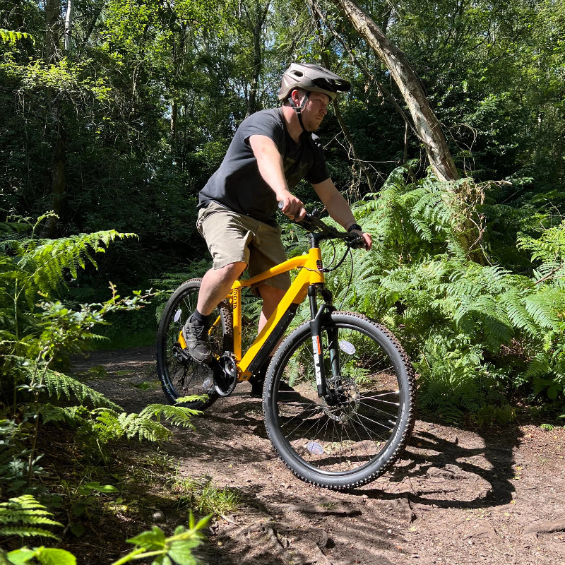 Batribike Delta LTD Hardtail Mountain Bike