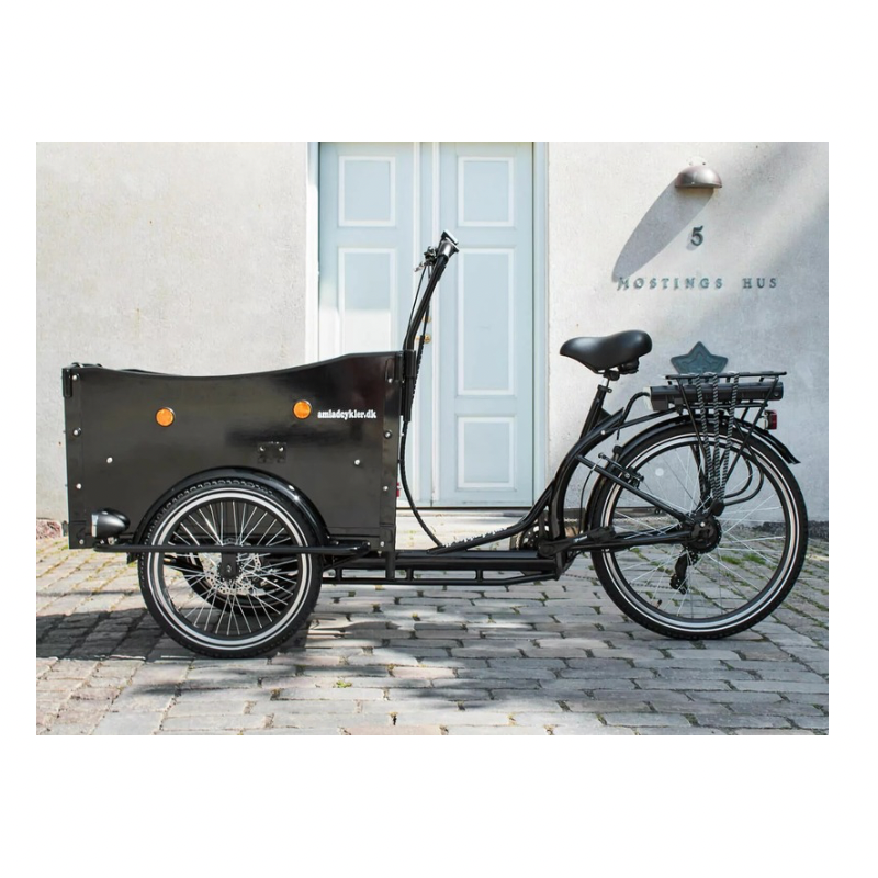 AMCargoBikes Curve Dog Friendly Cargo Electric Tricycle