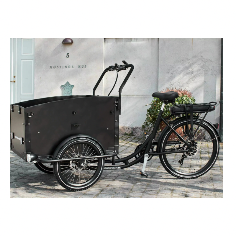 AMCargoBikes Ultimate Curve Cargo Electric Tricycle