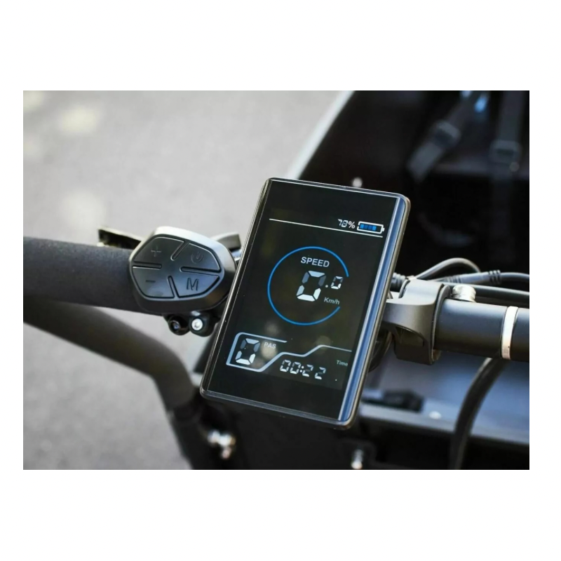 AMCargoBikes Ultimate Curve Cargo Electric Tricycle