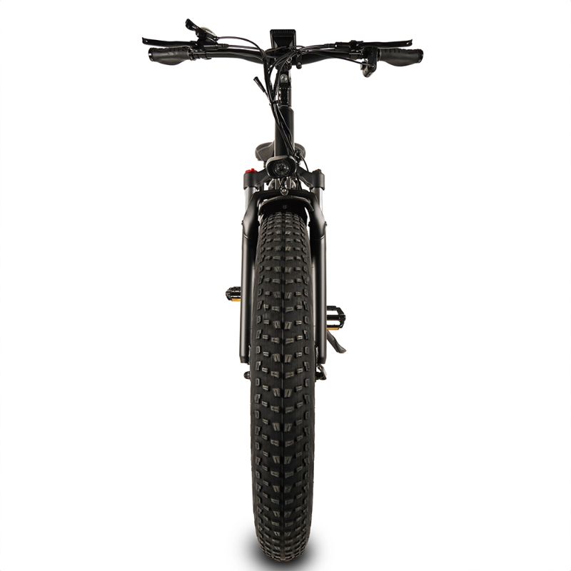 Big Game Bikes Buffalo Mountain eBike 750w