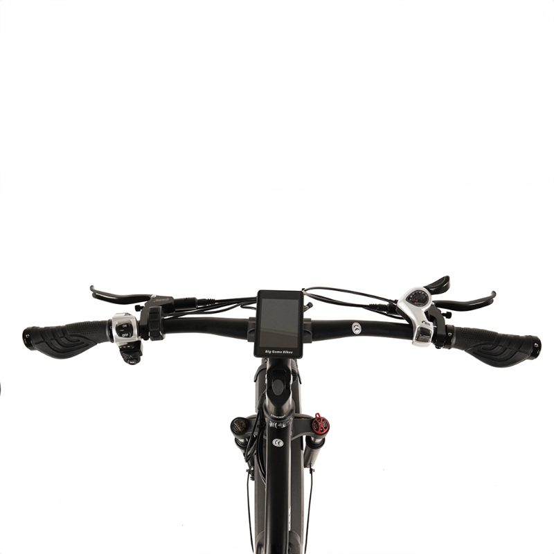Big Game Bikes Buffalo Mountain eBike 750w
