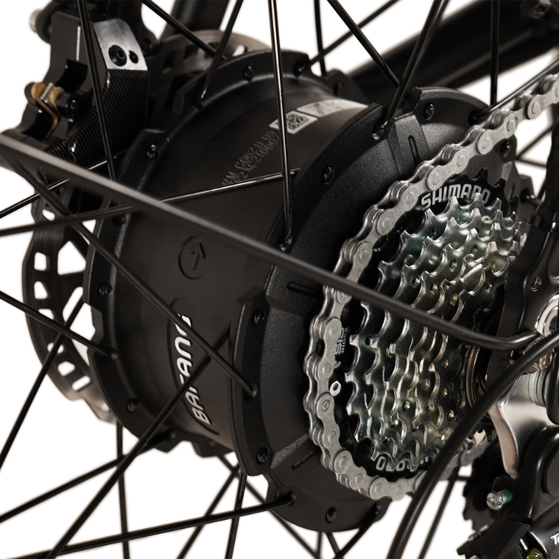 Big Game Bikes Buffalo Mountain eBike 750w