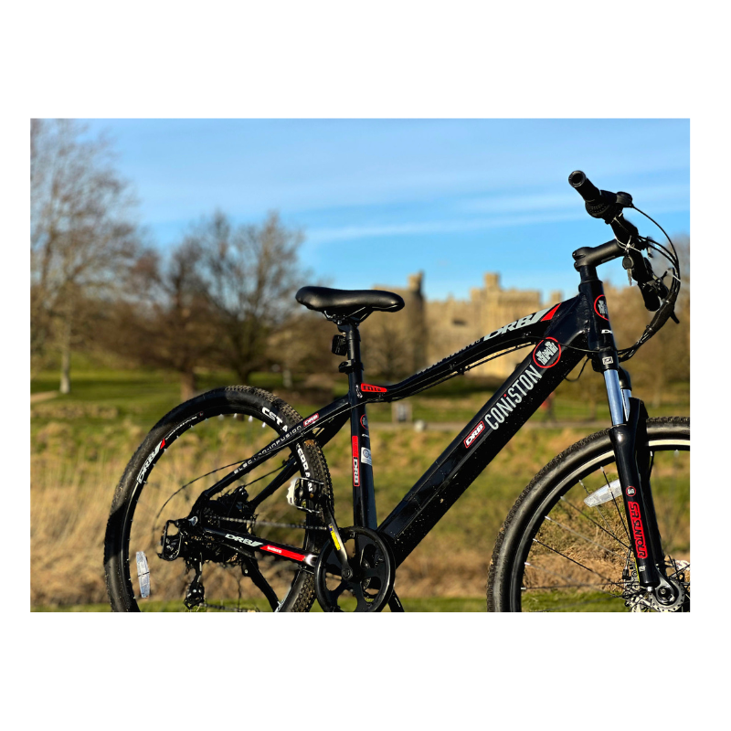 Dallingridge Coniston Hardtail Electric Mountain Bike - Black/Red