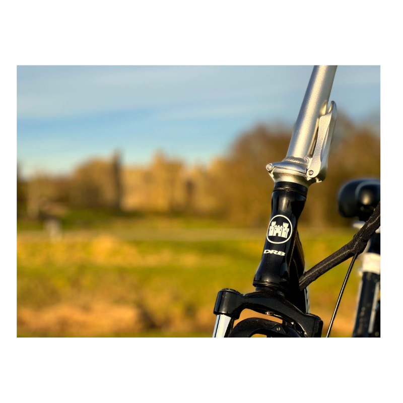 Dallingridge Oxford Folding Electric Bike Gloss Black