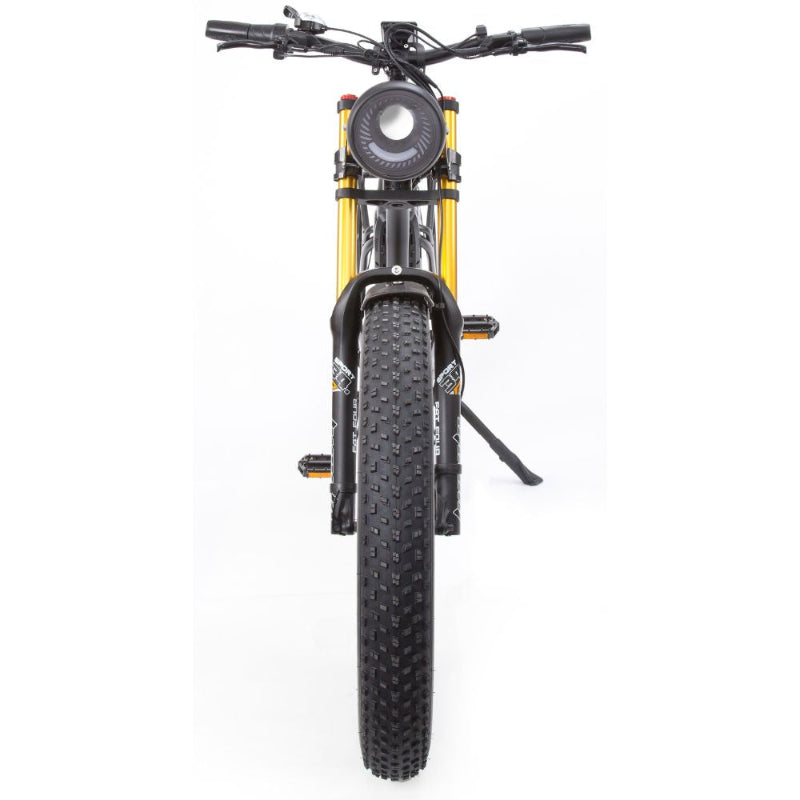Big Game Bikes Buffalo Alpha Plus Mountain eBike 250w