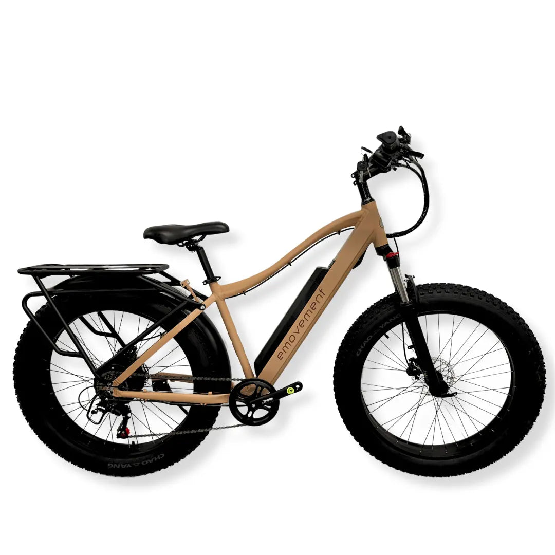 Electric Bicycles