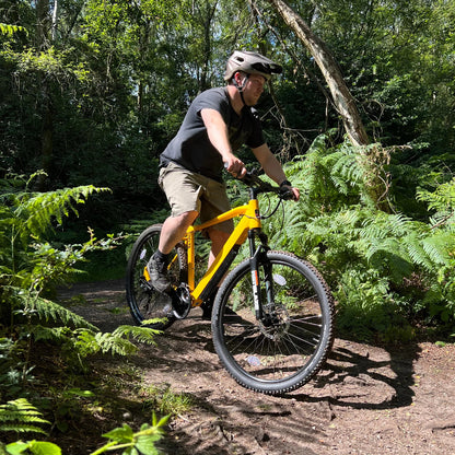 Batribike Delta LTD Hardtail Mountain Bike