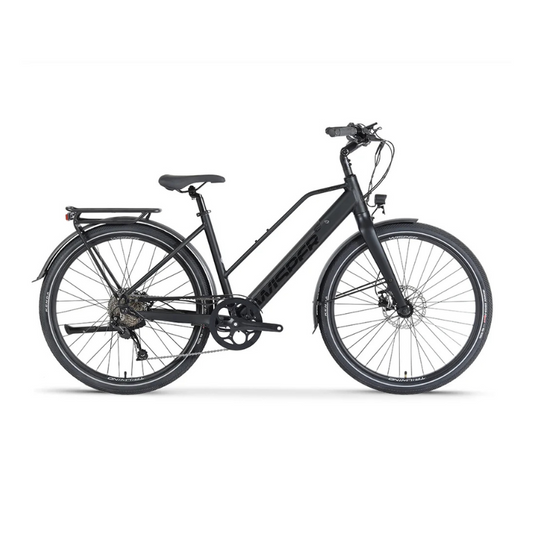 Full Throttle Electric Bikes