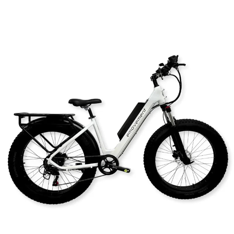 e movement Aries 250/500W 14Ah Electric Mountain Bike